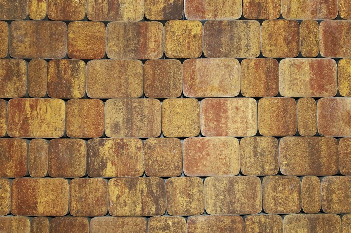 КЛАССИКО Б.1.КО.6 Листопад гладкий Осень