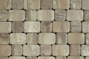 КЛАССИКО Б.1.КО.6 Листопад гладкий Хаски