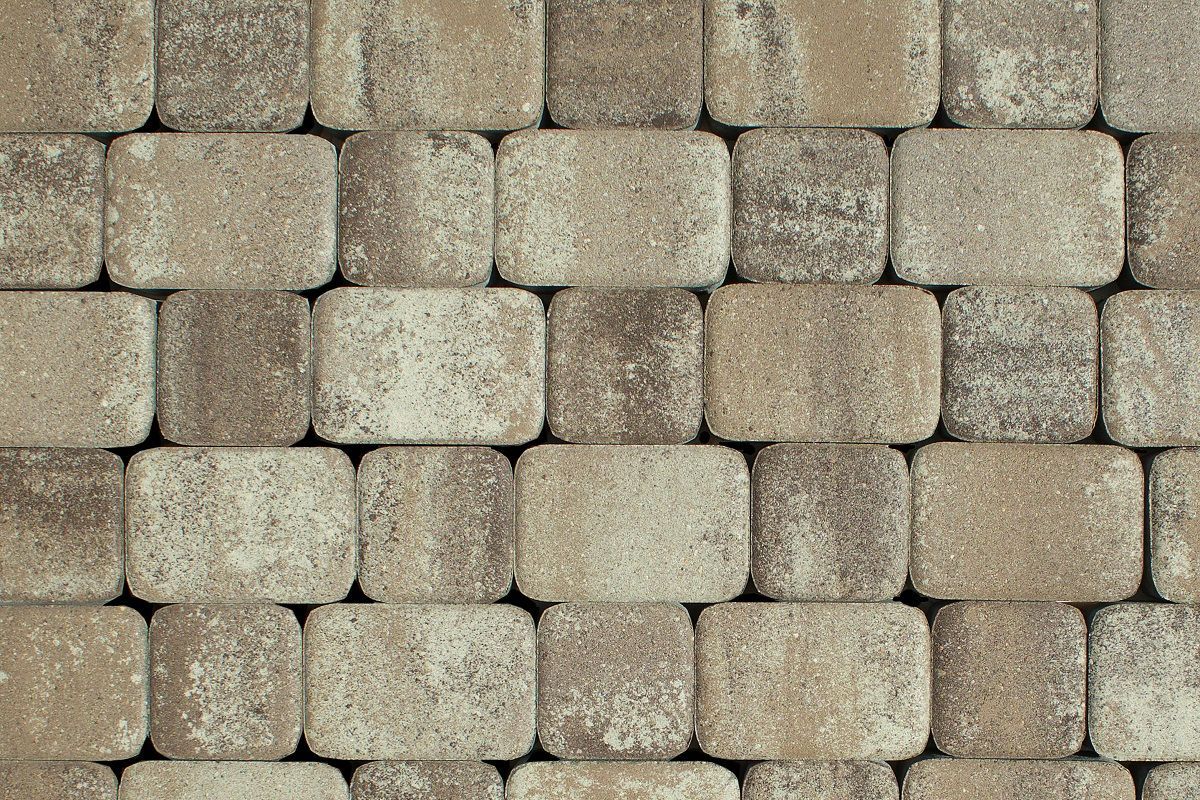 КЛАССИКО Б.1.КО.6 Листопад гладкий Хаски