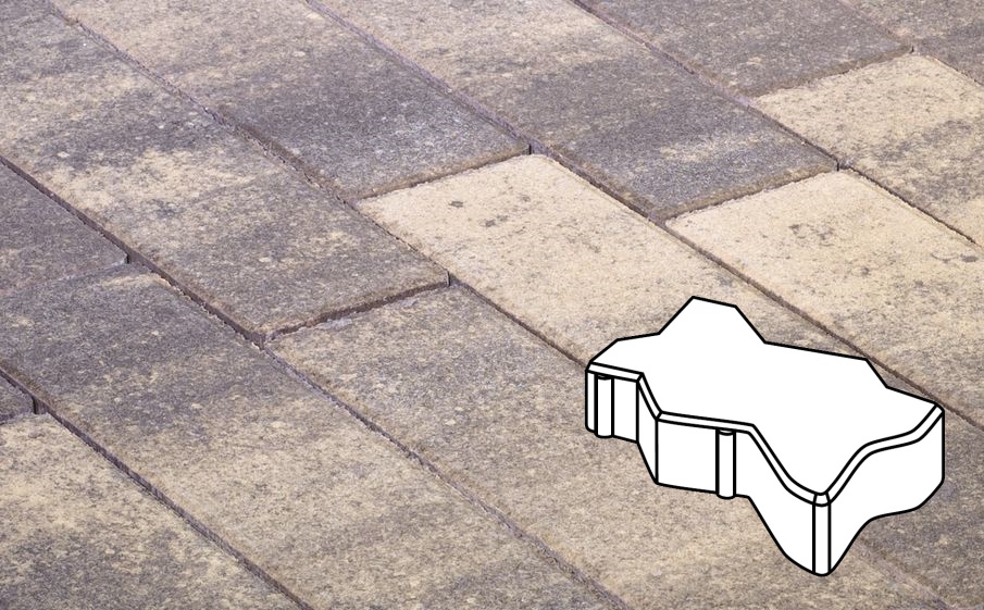 Плитка тротуарная Готика Natur, Волна/Зигзаг/Уни В.2.Ф.10/Г.2.Ф.10, Танго, 225*112,5*100 мм