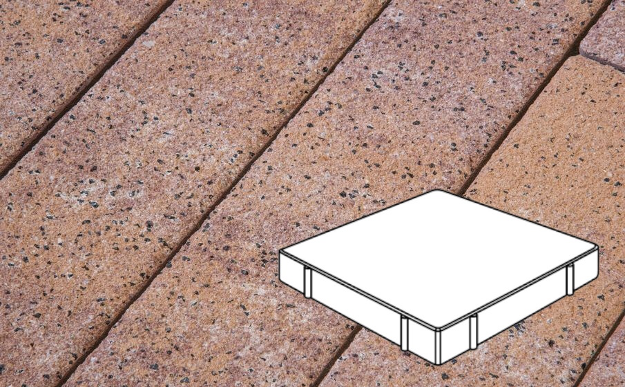 Плитка тротуарная Готика Natur FERRO, Квадрат Б.6.К.10, Терракота, 600*600*100 мм