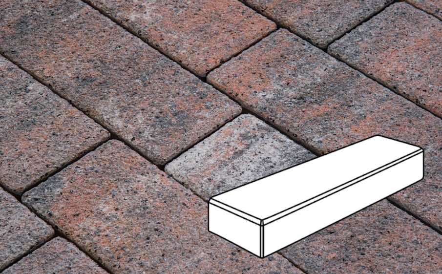 Плитка тротуарная Готика Natur FERRO, Паркет Б.3.П.6, Альпин, 300*100*60 мм