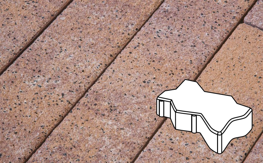 Плитка тротуарная Готика Natur FERRO, Зигзаг/Волна Б.2.Ф.6, Терракота, 225*112,5*60 мм